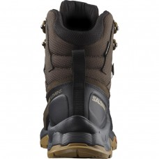 Черевики Salomon 472161 QUEST ELEMENT GTX Del