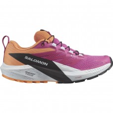 Кросівки Salomon 474597 SENSE RIDE 5 GTX W Rose Violet
