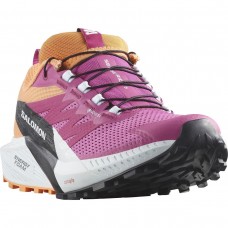 Кросівки Salomon 474597 SENSE RIDE 5 GTX W Rose Violet