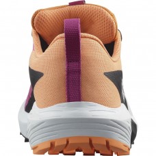 Кросівки Salomon 474597 SENSE RIDE 5 GTX W Rose Violet