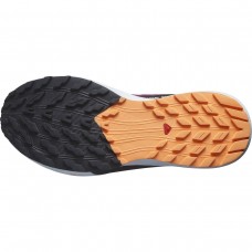 Кросівки Salomon 474597 SENSE RIDE 5 GTX W Rose Violet