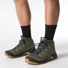 Черевики Salomon 478146 X ADVENTURE RECON MID GTX Khaki