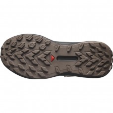 Кросівки Salomon 478629 Genesis GTX Cyclamen/Black
