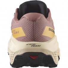 Кросівки Salomon ULTRA FLOW 2 GTX Burlwood/Tender Peach