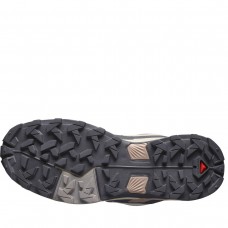 Кросівки Salomon X Ultra 5 GTX Etherea Nine/Iron Gull