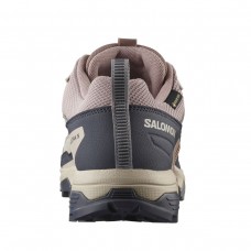 Кросівки Salomon X Ultra 5 GTX Etherea Nine/Iron Gull
