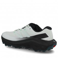 Кросівки Salomon 492996 ULTRA FLOW 2 GTX Clear Aqua