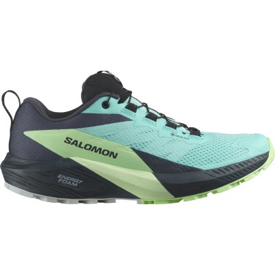 Кросівки Salomon 472160 SENSE RIDE 5 GTX W Blue/Green