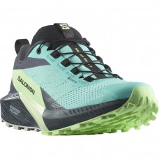 Кросівки Salomon 472160 SENSE RIDE 5 GTX W Blue/Green